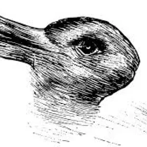 Media 'Duck-Rabbit Analogy.webp' in category 'User Media Uploads'