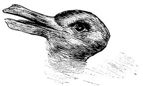 Duck-Rabbit Analogy.webp